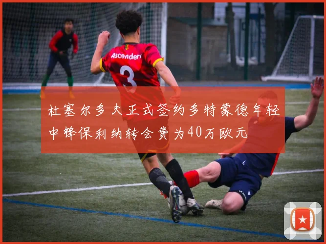 杜塞尔多夫正式签约多特蒙德年轻中锋保利纳转会费为40万欧元
