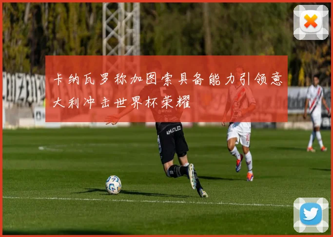 卡纳瓦罗称加图索具备能力引领意大利冲击世界杯荣耀