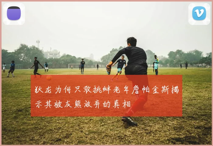 狄龙为何只敢挑衅老年詹帕金斯揭示其被灰熊放弃的真相