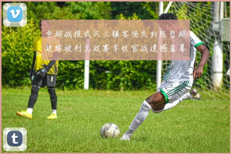 中超战报武汉三镇客场失利陈哲超进球被判无效赛季收官战遗憾落幕