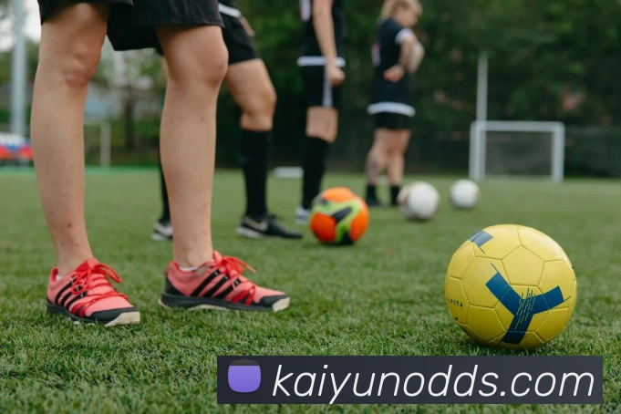 开云体育APP 封面图