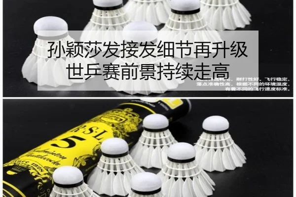 孙颖莎发接发细节再升级 世乒赛前景持续走高 | kaiyun